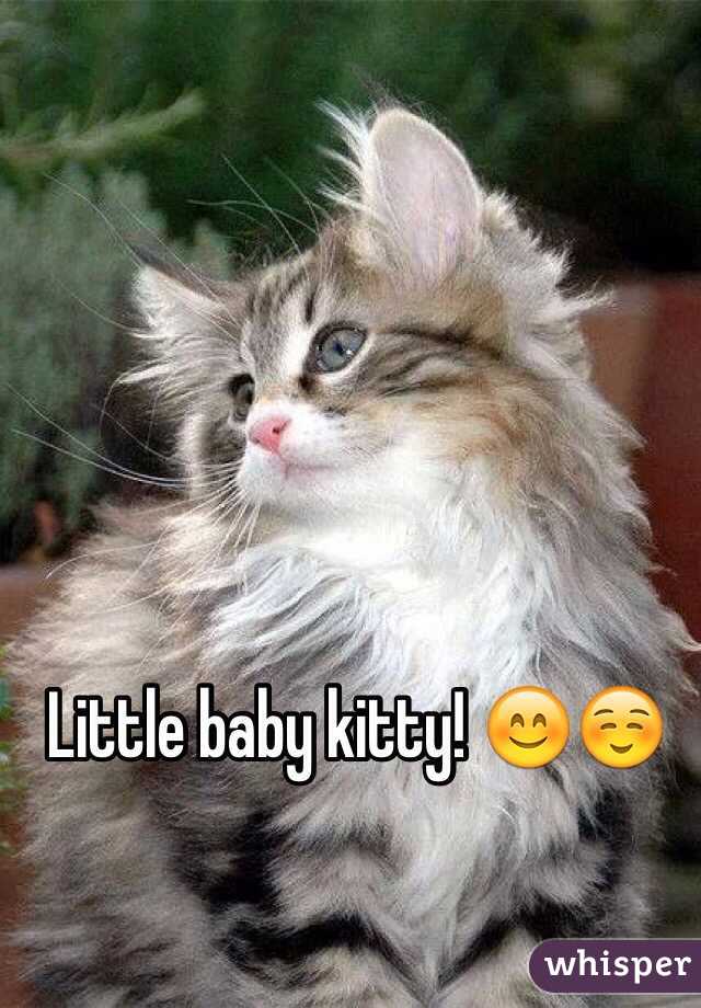 Little baby kitty! 😊☺️