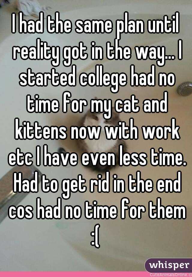 I had the same plan until reality got in the way... I started college had no time for my cat and kittens now with work etc I have even less time. Had to get rid in the end cos had no time for them :( 