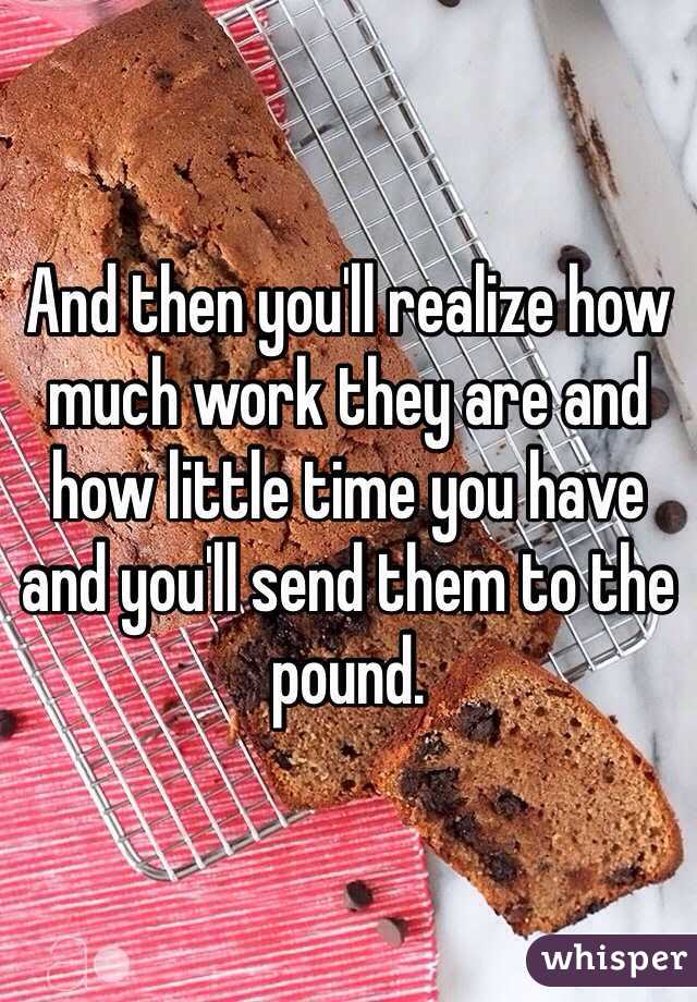 And then you'll realize how much work they are and how little time you have and you'll send them to the pound.