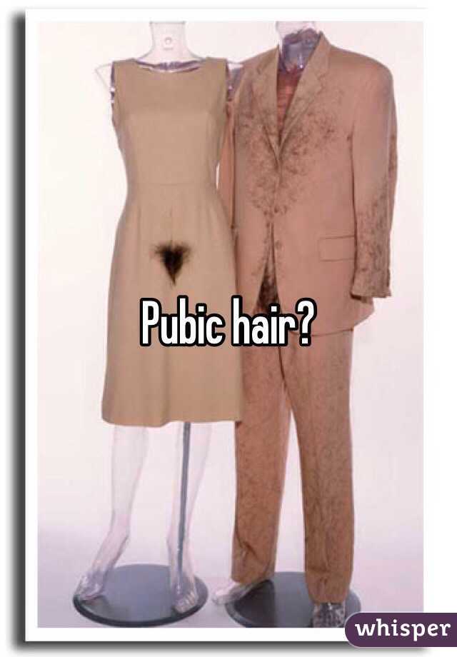 Pubic hair? 