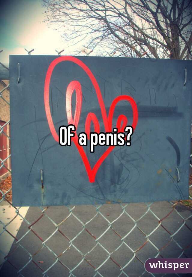 Of a penis? 