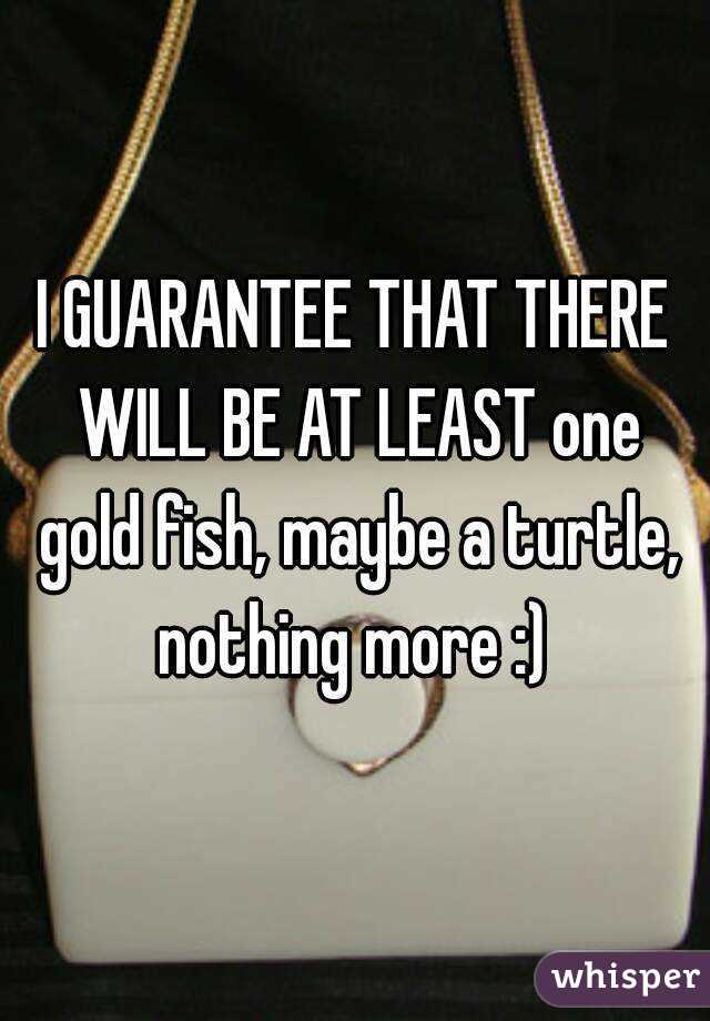 I GUARANTEE THAT THERE WILL BE AT LEAST one gold fish, maybe a turtle, nothing more :) 