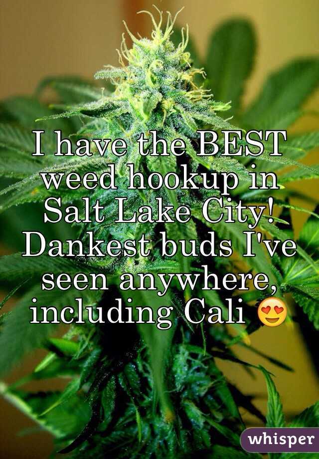 I have the BEST weed hookup in Salt Lake City! Dankest buds I've seen anywhere, including Cali 😍