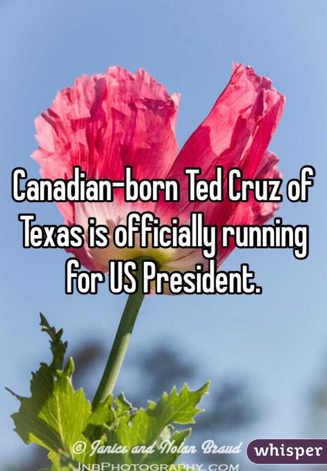 Canadian-born Ted Cruz of Texas is officially running for US President.