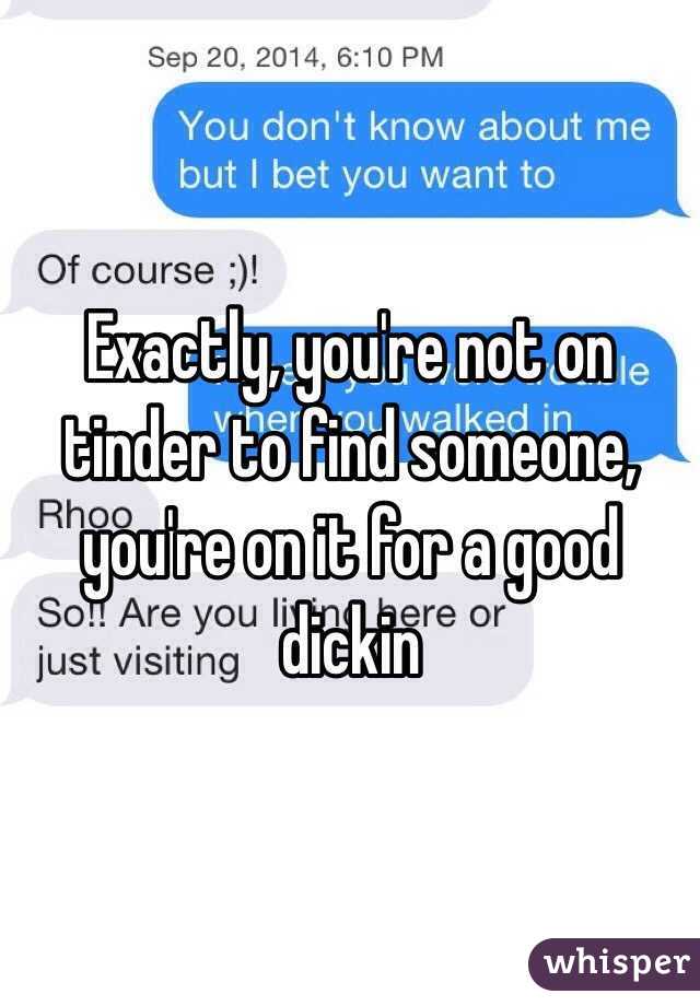 Exactly, you're not on tinder to find someone, you're on it for a good dickin