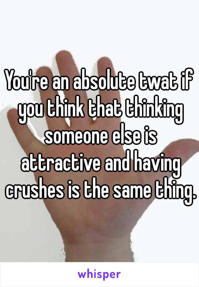 You're an absolute twat if you think that thinking someone else is attractive and having crushes is the same thing.