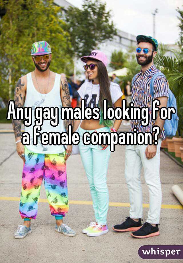 Any gay males looking for a female companion? 