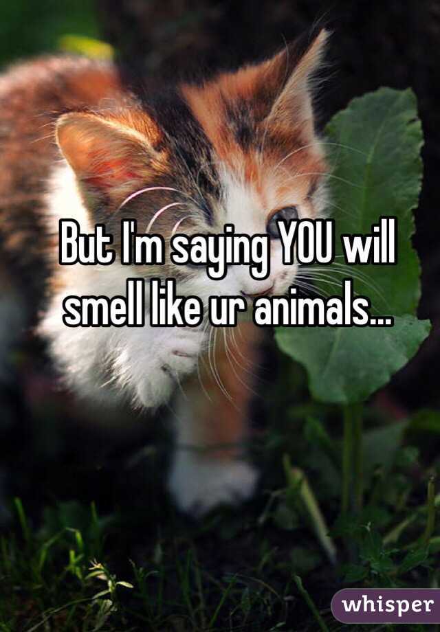 But I'm saying YOU will smell like ur animals...