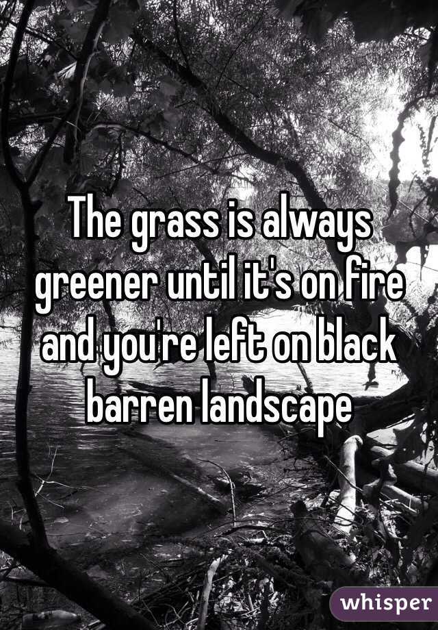 The grass is always greener until it's on fire and you're left on black barren landscape 