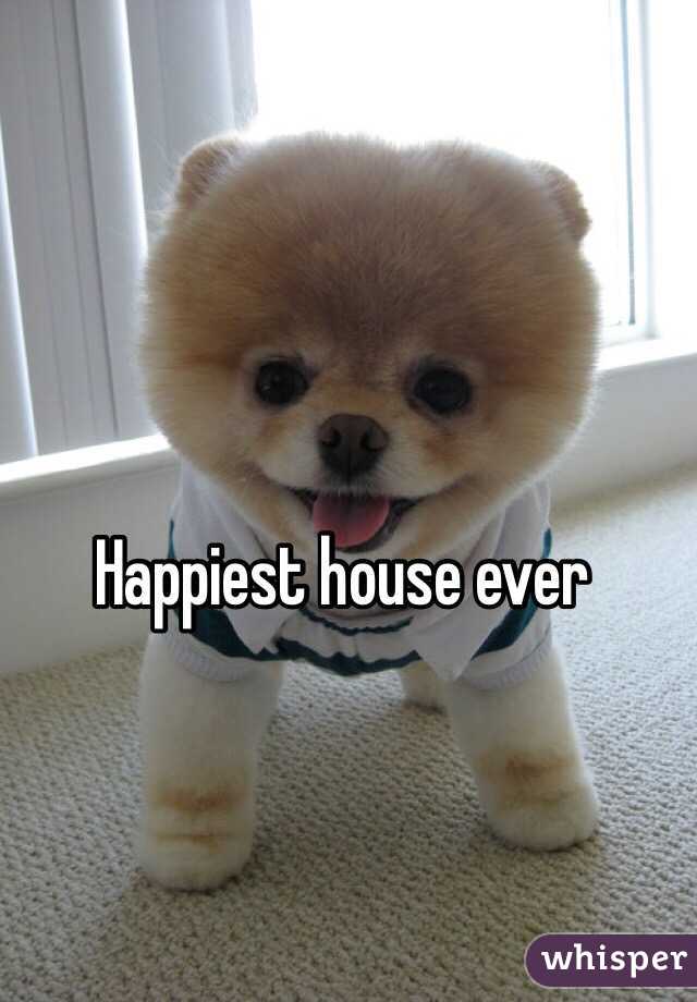 Happiest house ever 