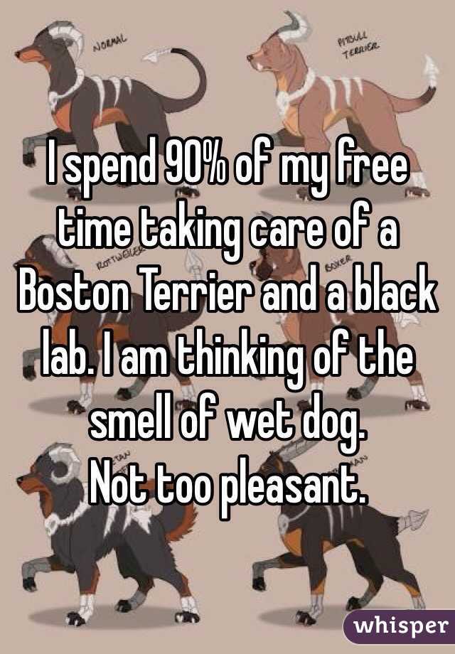 I spend 90% of my free time taking care of a Boston Terrier and a black lab. I am thinking of the smell of wet dog.
Not too pleasant.