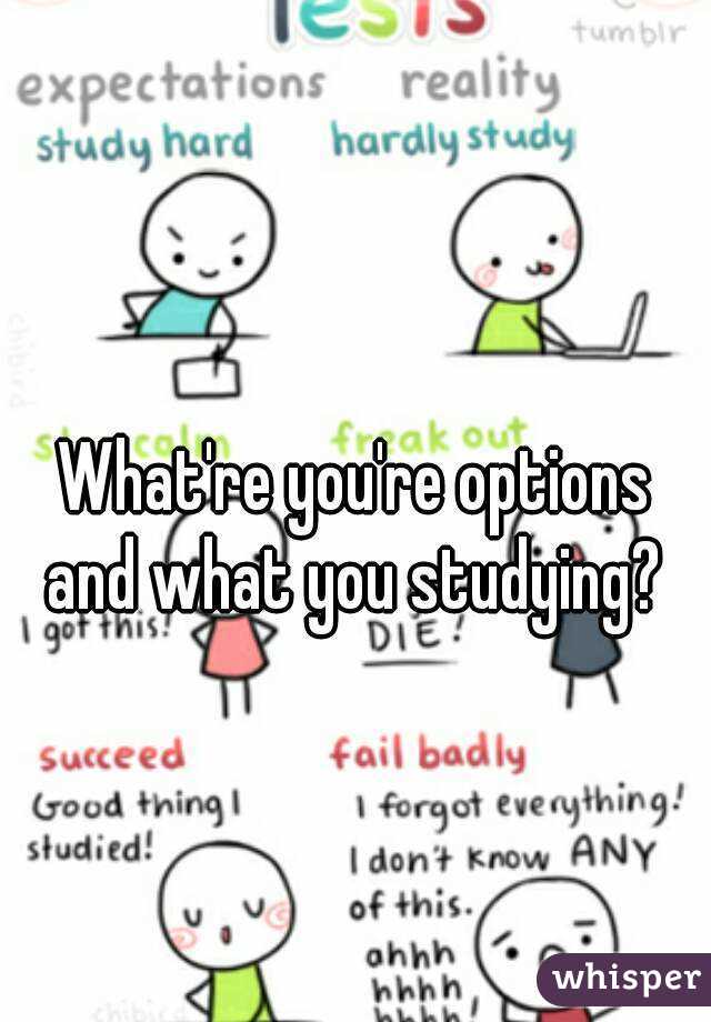 
What're you're options and what you studying? 