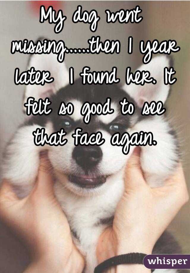 My dog went missing......then 1 year later  I found her. It felt so good to see that face again.