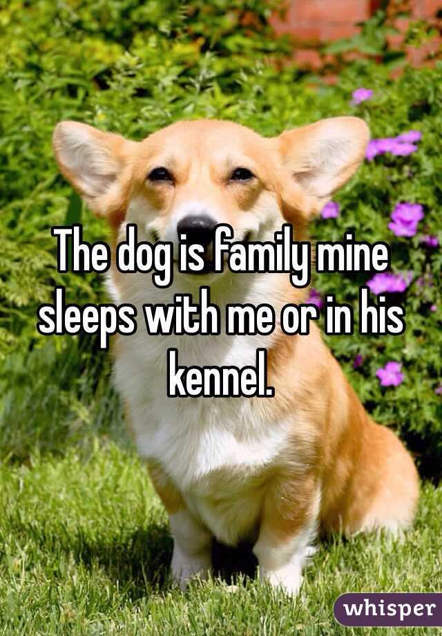 The dog is family mine sleeps with me or in his kennel. 