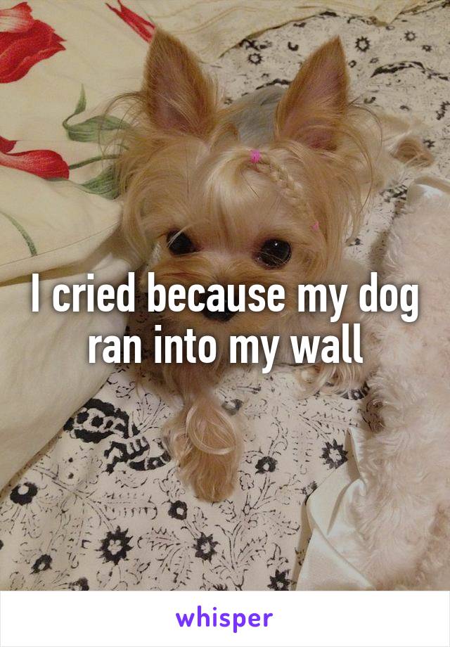 I cried because my dog ran into my wall