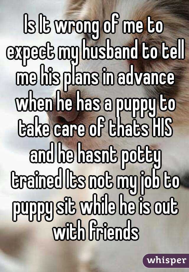 Is It wrong of me to expect my husband to tell me his plans in advance when he has a puppy to take care of thats HIS and he hasnt potty trained Its not my job to puppy sit while he is out with friends