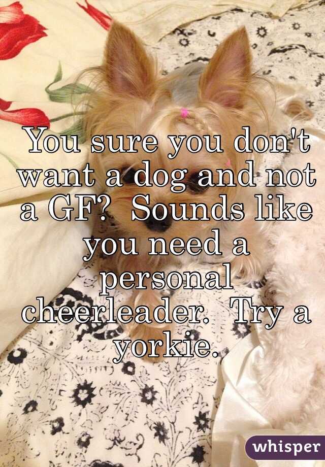 You sure you don't want a dog and not a GF?  Sounds like you need a personal cheerleader.  Try a yorkie.