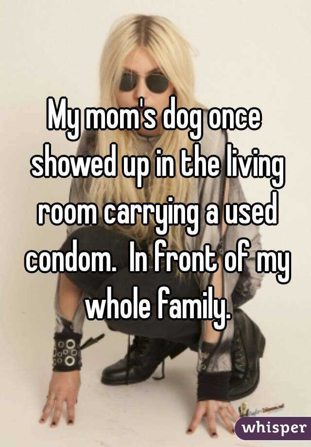 My mom's dog once showed up in the living room carrying a used condom.  In front of my whole family.