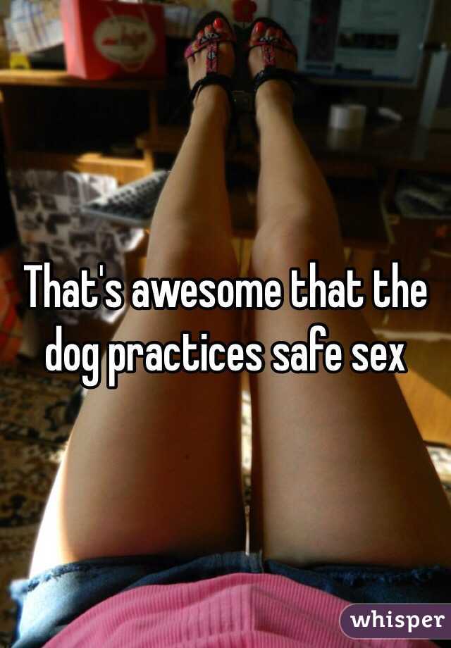That's awesome that the dog practices safe sex