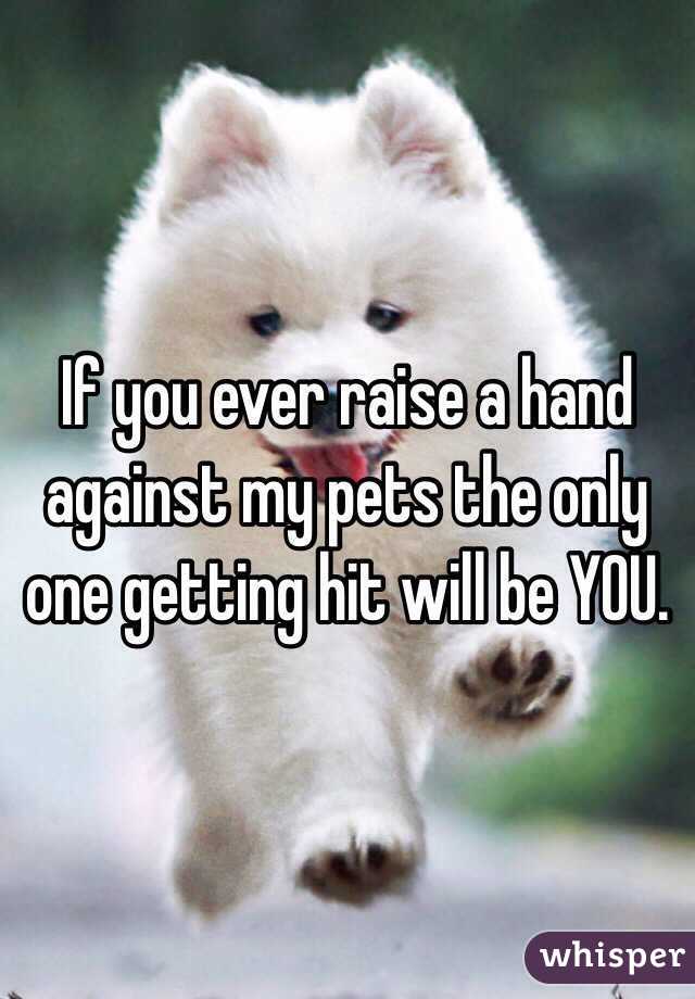 If you ever raise a hand against my pets the only one getting hit will be YOU.