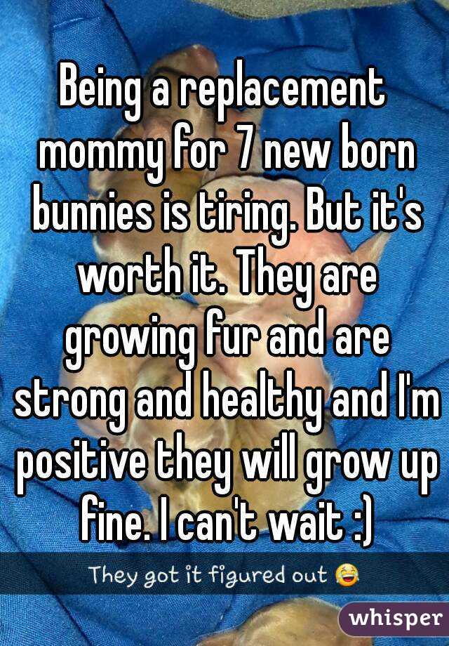 Being a replacement mommy for 7 new born bunnies is tiring. But it's worth it. They are growing fur and are strong and healthy and I'm positive they will grow up fine. I can't wait :)
