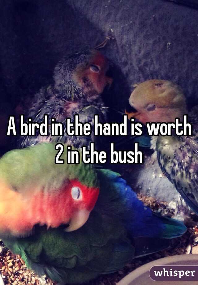 A bird in the hand is worth 2 in the bush