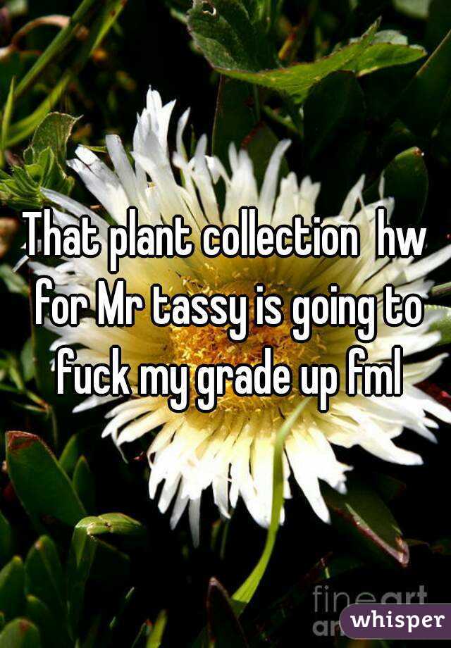 That plant collection  hw for Mr tassy is going to fuck my grade up fml