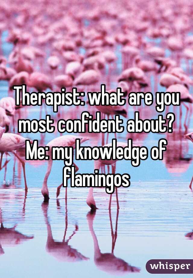 Therapist: what are you most confident about?
Me: my knowledge of flamingos 