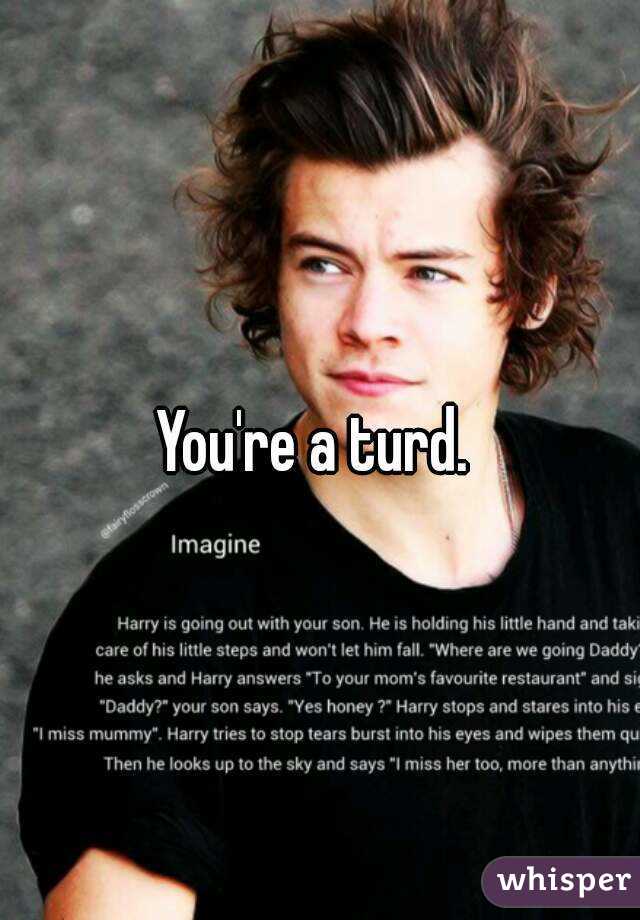 You're a turd. 