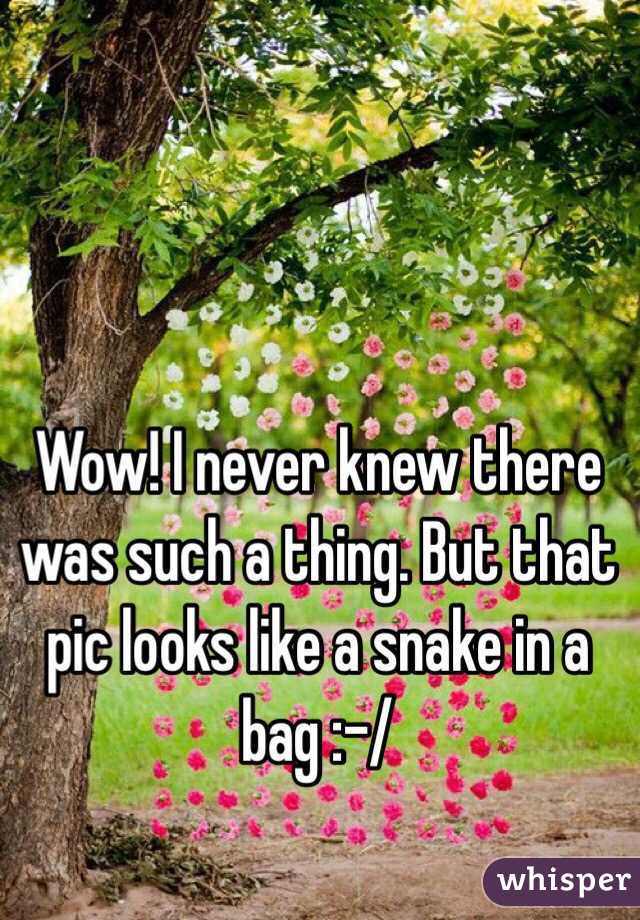 Wow! I never knew there was such a thing. But that pic looks like a snake in a bag :-/