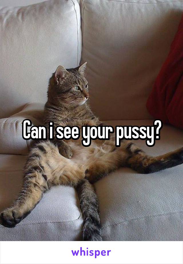 Can i see your pussy?