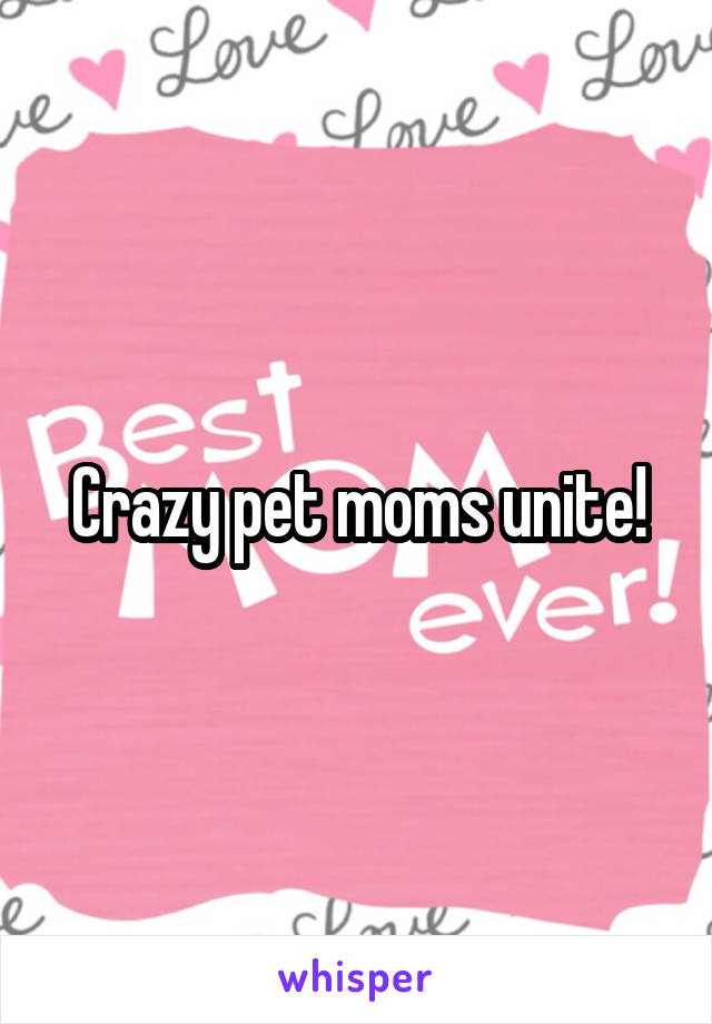 Crazy pet moms unite!