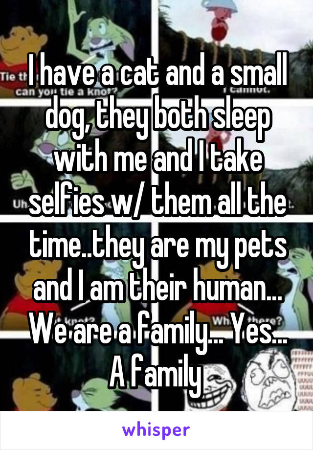 I have a cat and a small dog, they both sleep with me and I take selfies w/ them all the time..they are my pets and I am their human... We are a family... Yes... A family 