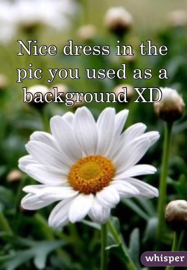 Nice dress in the pic you used as a background XD