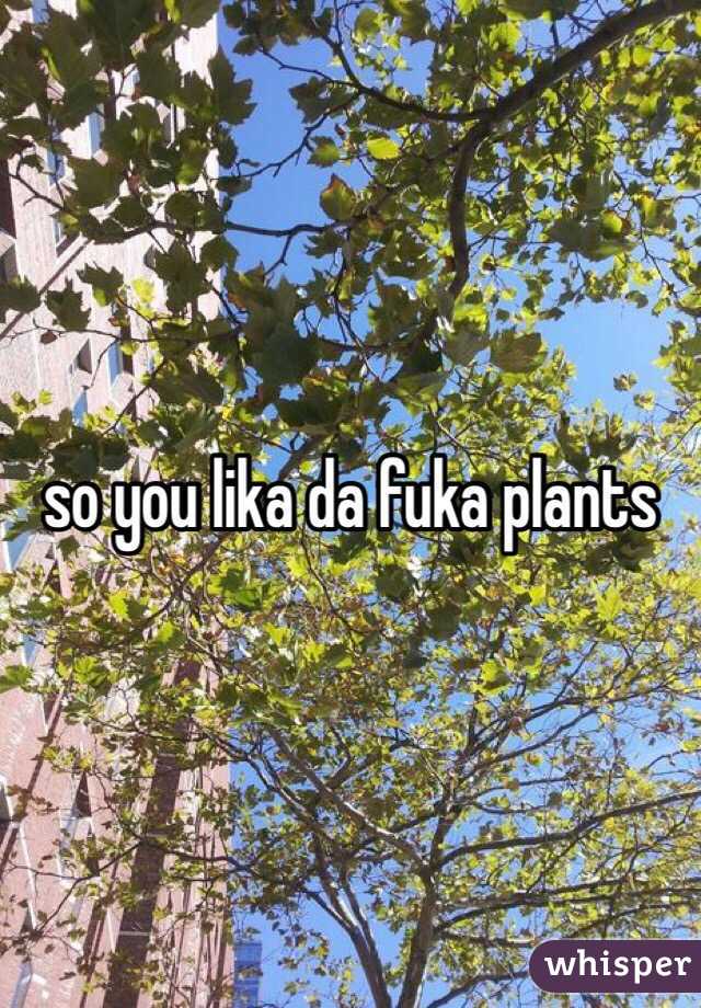 so you lika da fuka plants