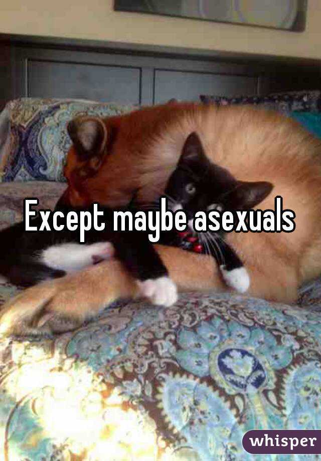 Except maybe asexuals