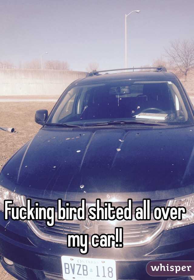 Fucking bird shited all over my car!! 