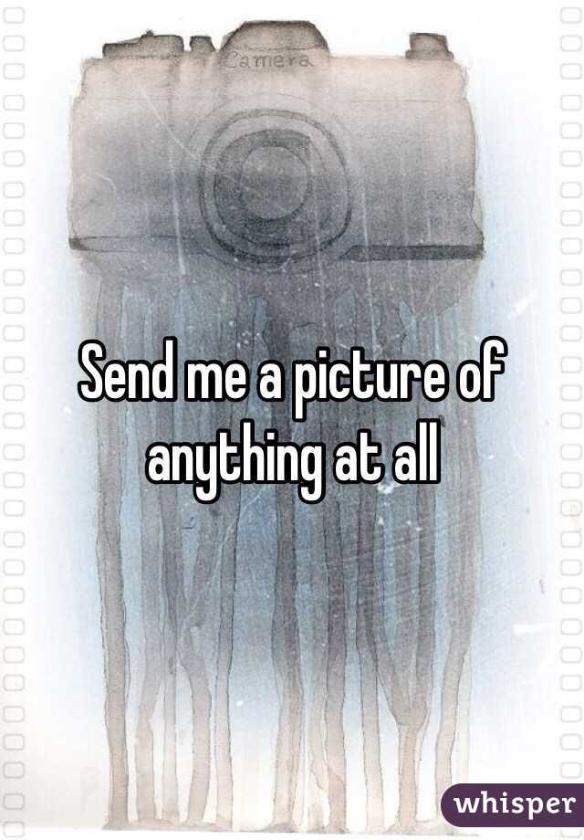 Send me a picture of anything at all