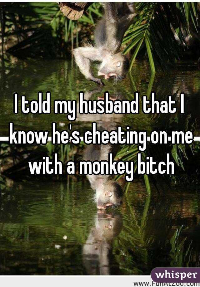 I told my husband that I know he's cheating on me with a monkey bitch