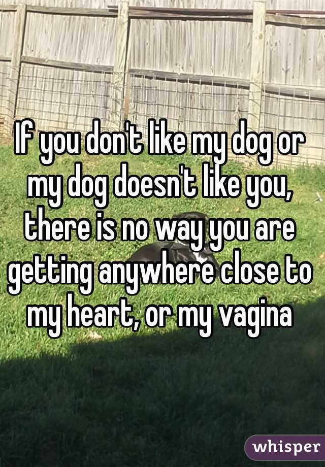 If you don't like my dog or my dog doesn't like you, there is no way you are getting anywhere close to my heart, or my vagina
