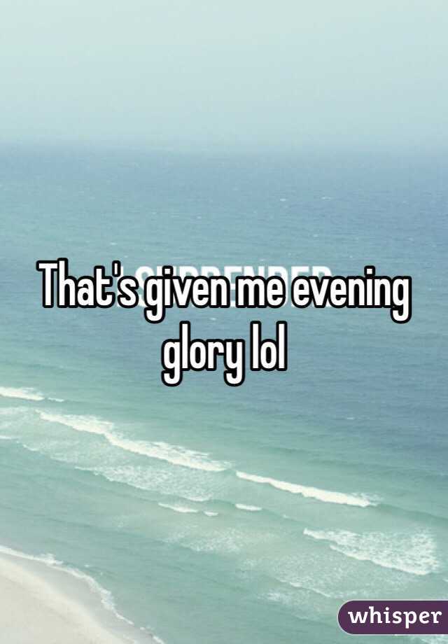 That's given me evening glory lol