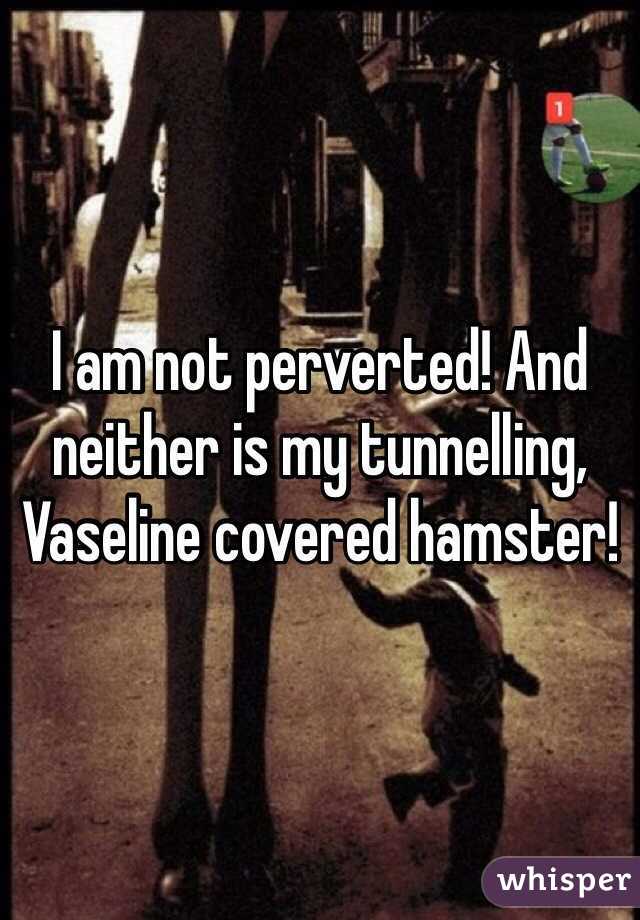 I am not perverted! And neither is my tunnelling, Vaseline covered hamster! 