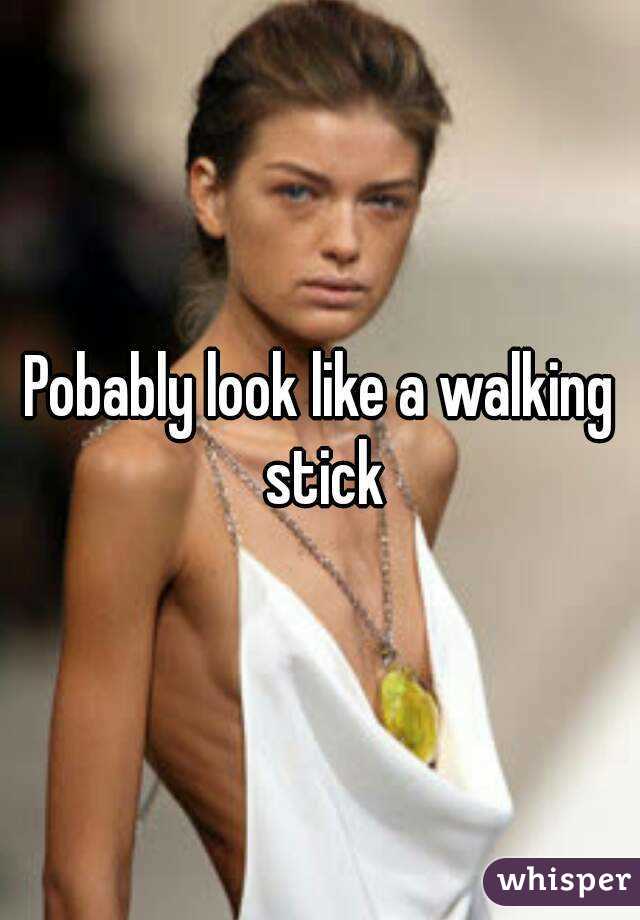 Pobably look like a walking stick