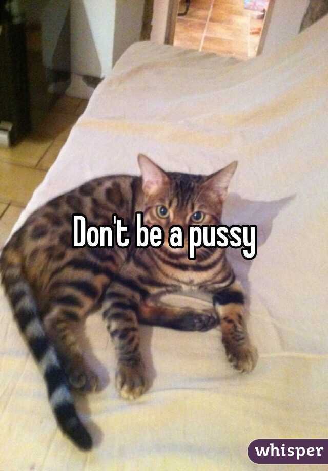 Don't be a pussy