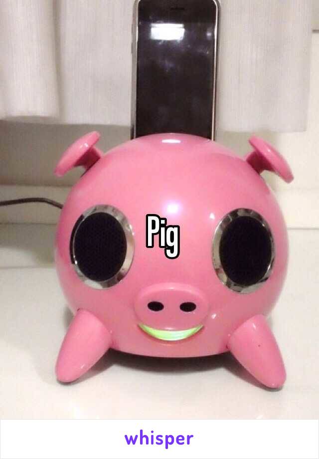 Pig