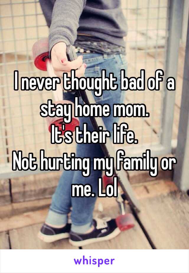 I never thought bad of a stay home mom. 
It's their life. 
Not hurting my family or me. Lol