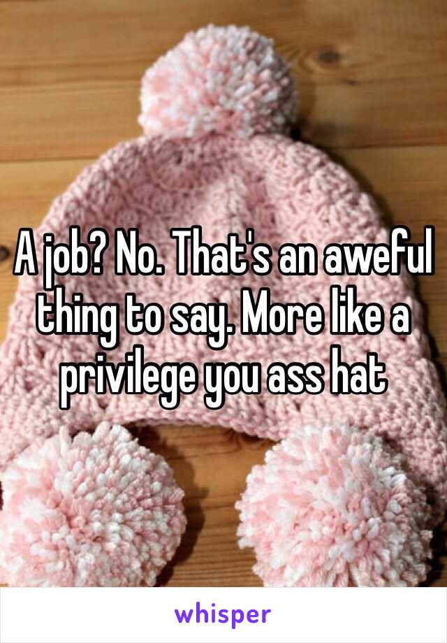 A job? No. That's an aweful thing to say. More like a privilege you ass hat 