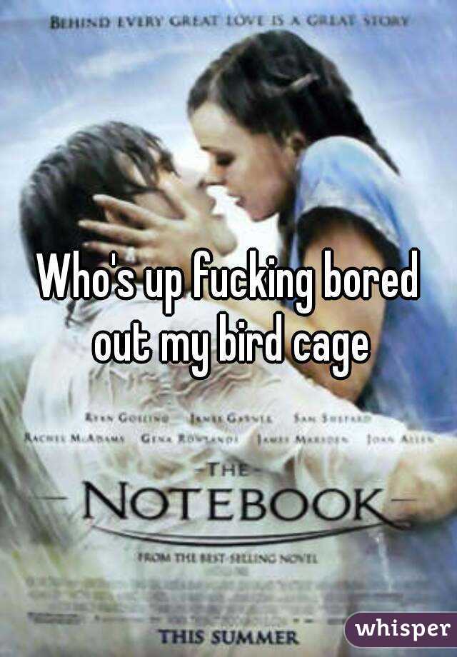 Who's up fucking bored out my bird cage