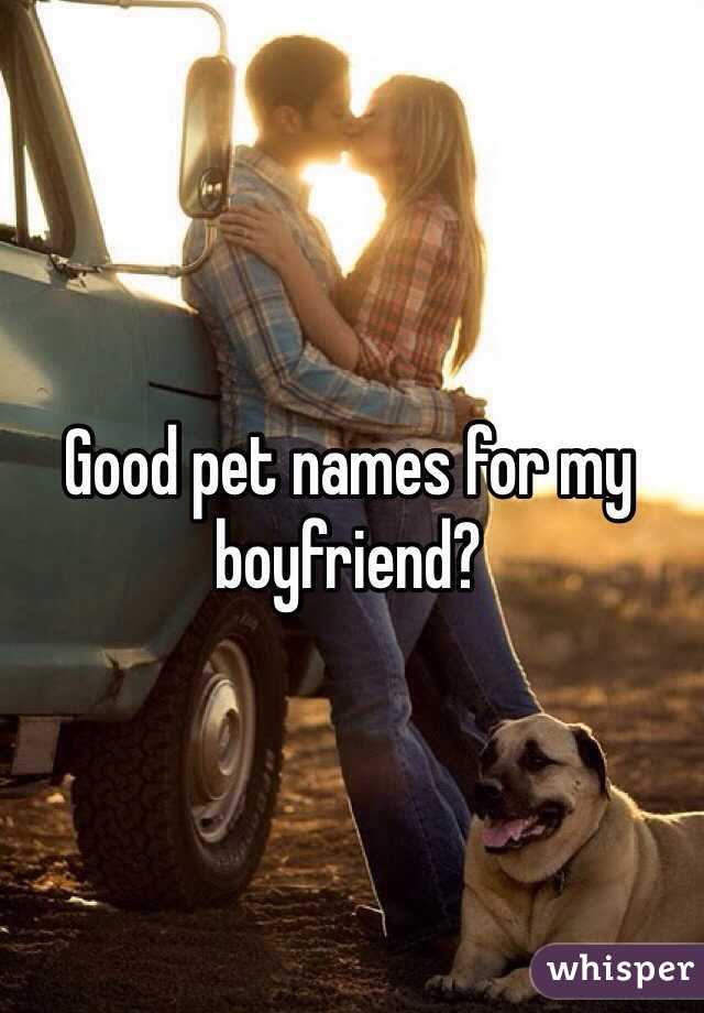 Good pet names for my boyfriend?