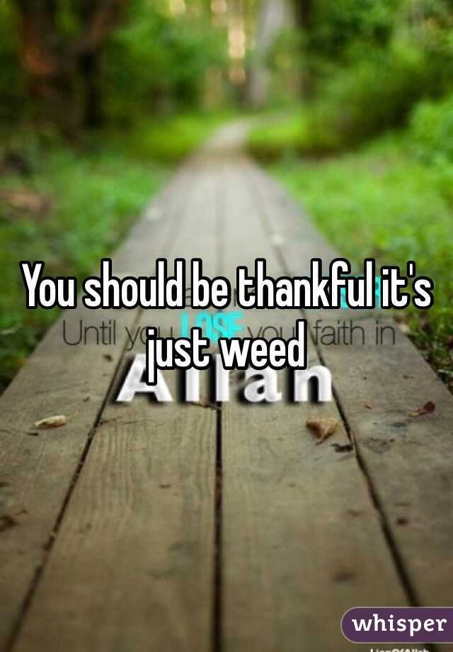 You should be thankful it's just weed